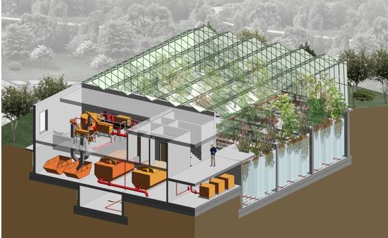 技術(shù)交流 生長中的未來——探索FCR花園式污水處理技術(shù)