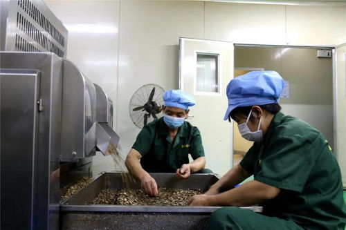 李茂濤深入重點(diǎn)工業(yè)企業(yè)走訪調(diào)研，聚焦技術(shù)交流與創(chuàng)新發(fā)展