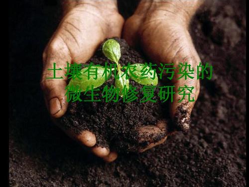 土壤有機(jī)農(nóng)藥污染的生物修復(fù)ppt